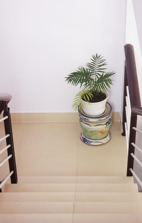 Tree House Hostel 大叻 外观 照片