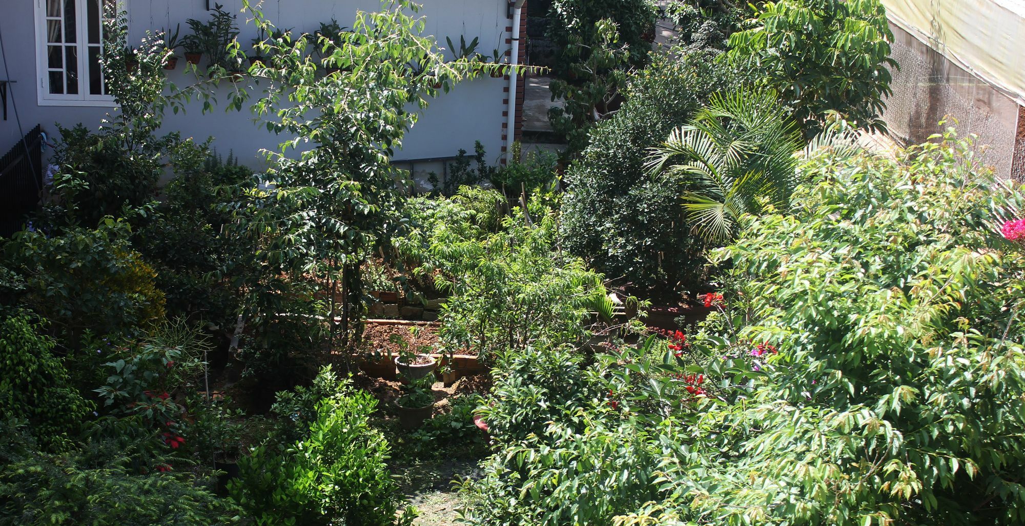 Tree House Hostel 大叻 外观 照片